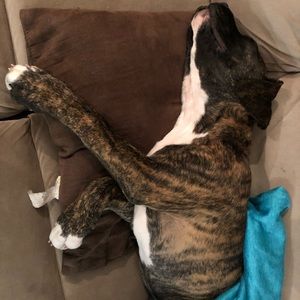 Meet your Posher, Melanie